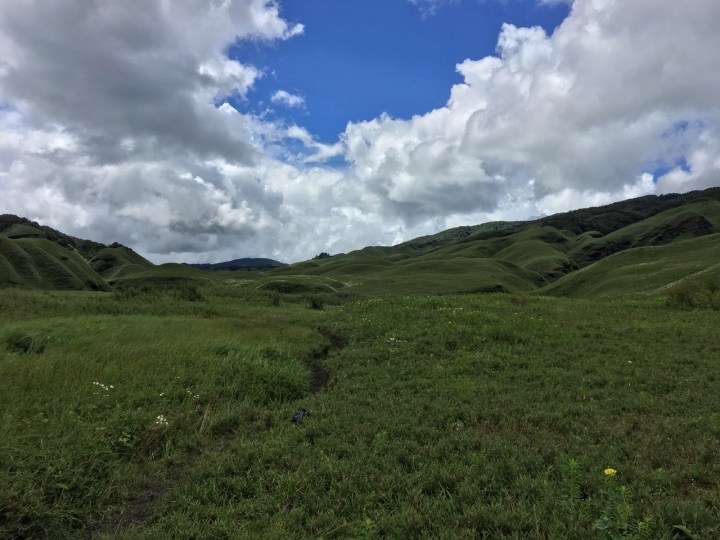 Image 8-18-19 at 6.38 PM