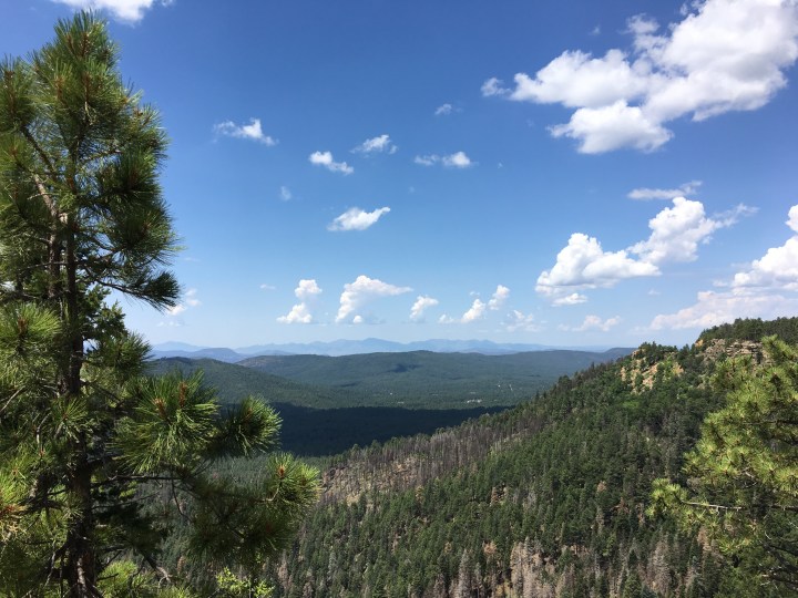 785E574C-C80A-4C92-B3DD-AE848233A73C