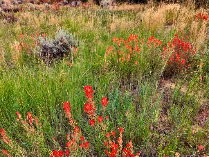 83A02228-C20C-4634-8AD0-687273968272_1_201_a