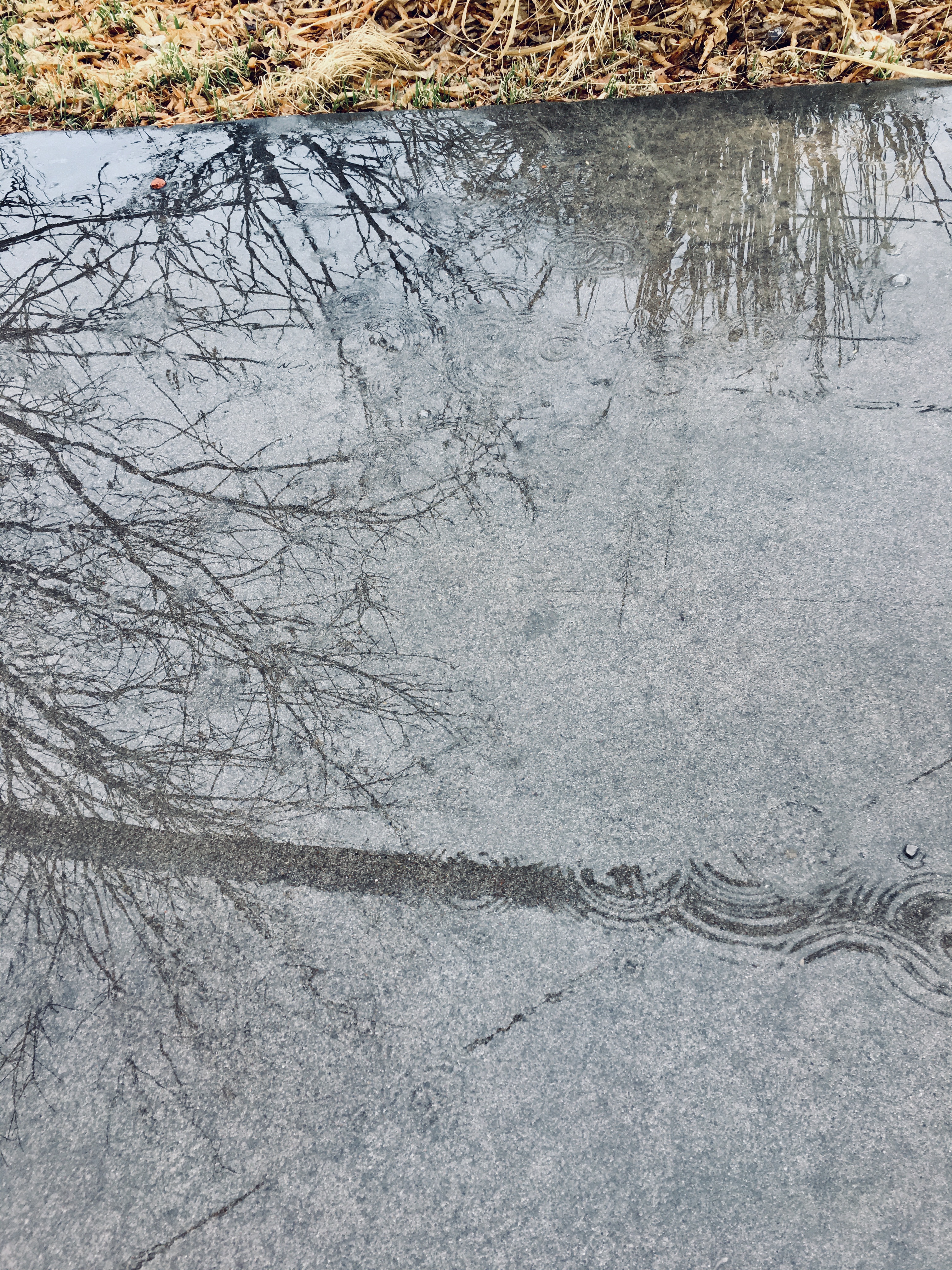 C9C7E1E4-ECD5-4C57-B559-628109E56253_1_201_a