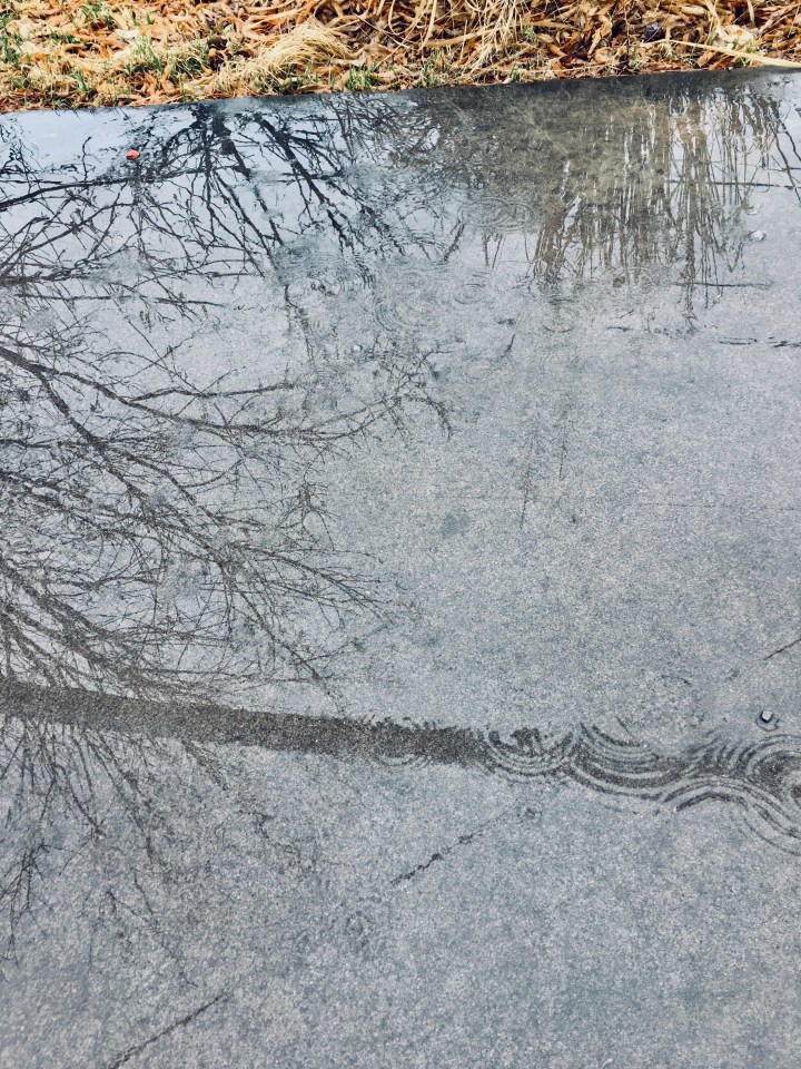 C9C7E1E4-ECD5-4C57-B559-628109E56253_1_201_a