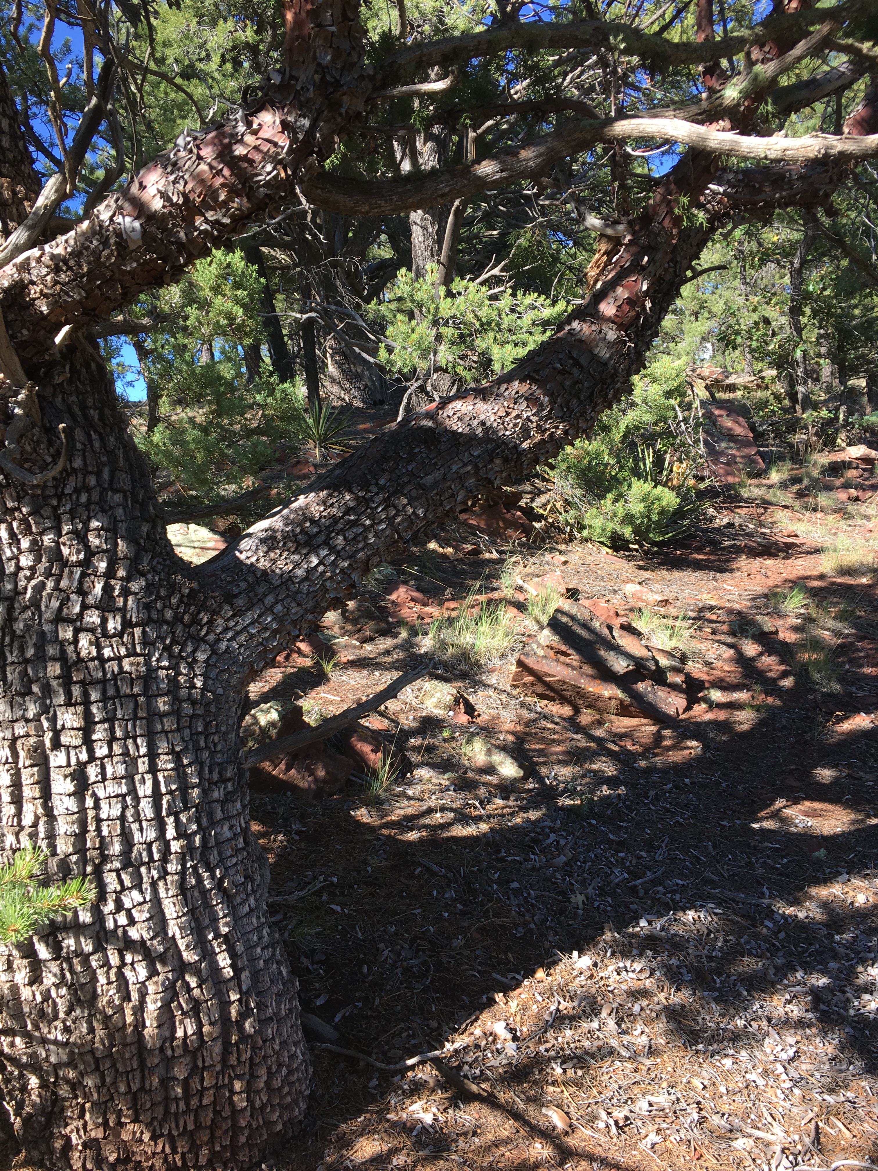 4042544E-1561-4A8C-B2DB-112DD924AE22