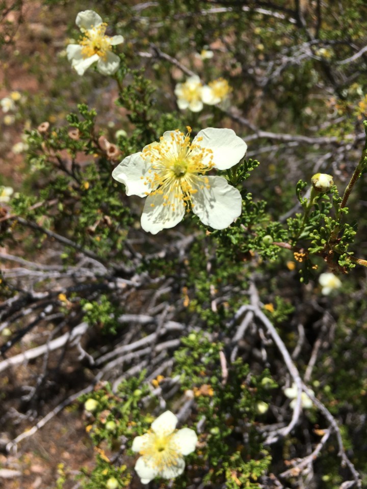 69E0D29C-8D59-49C4-9EB1-53D5429F71C1