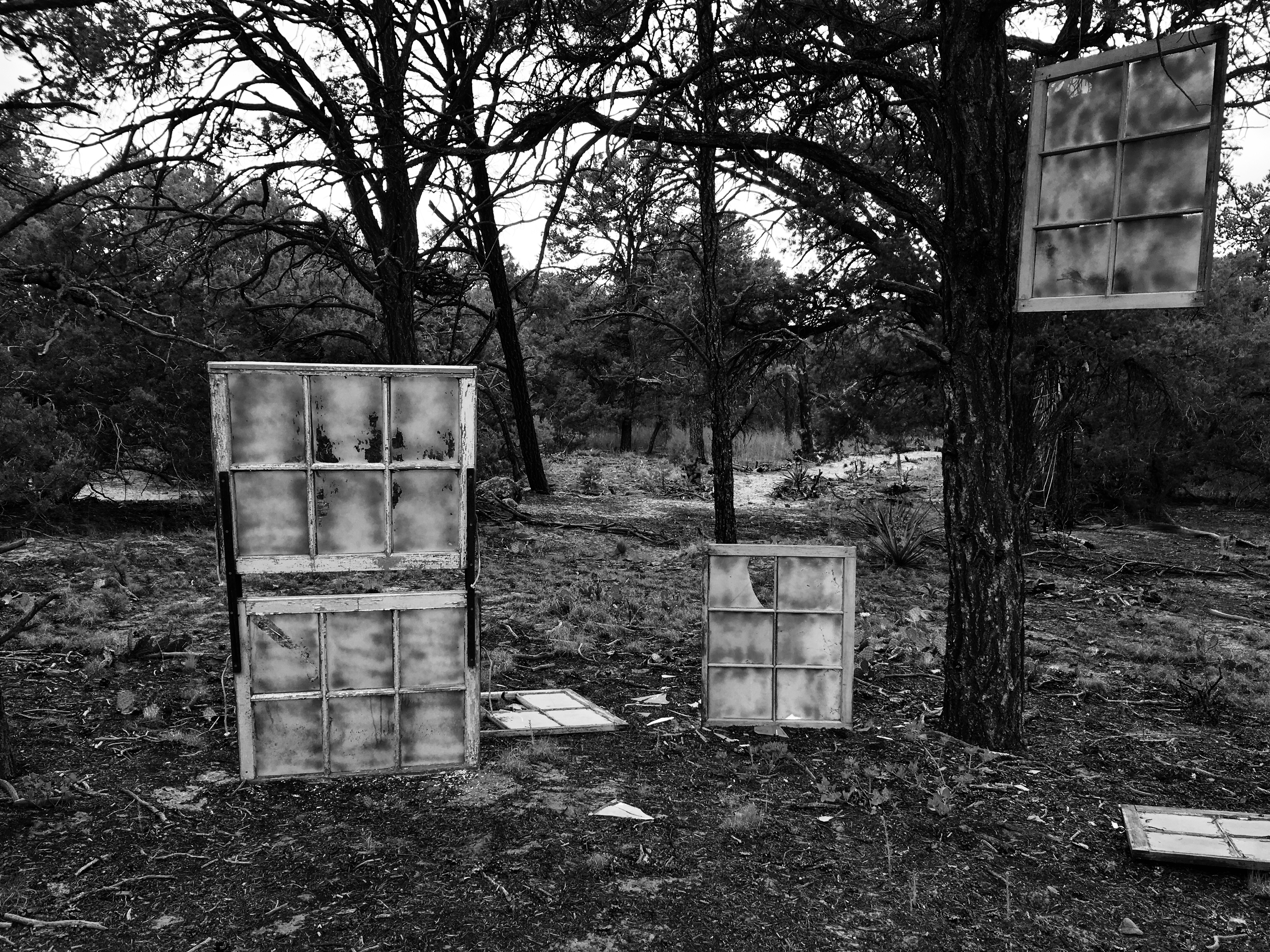 7C8E11D8-334B-4878-8F34-DAE2475C05E6_1_201_a