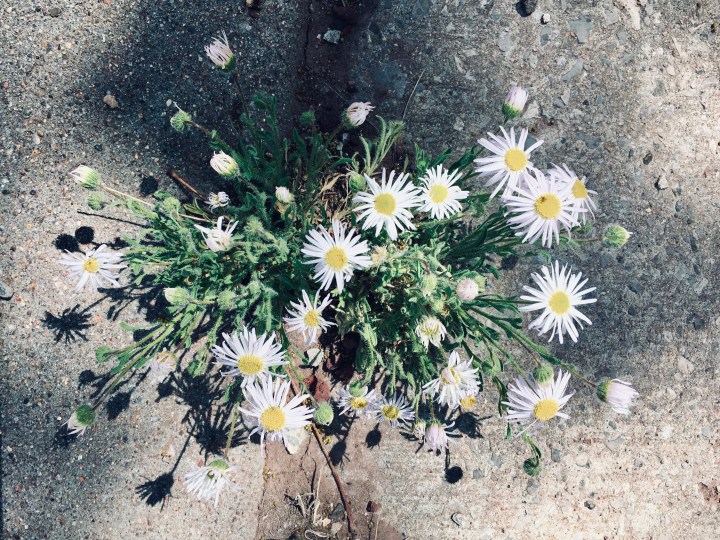 F14E3AF8-85F9-4683-9341-A57699AB2FAB_1_201_a