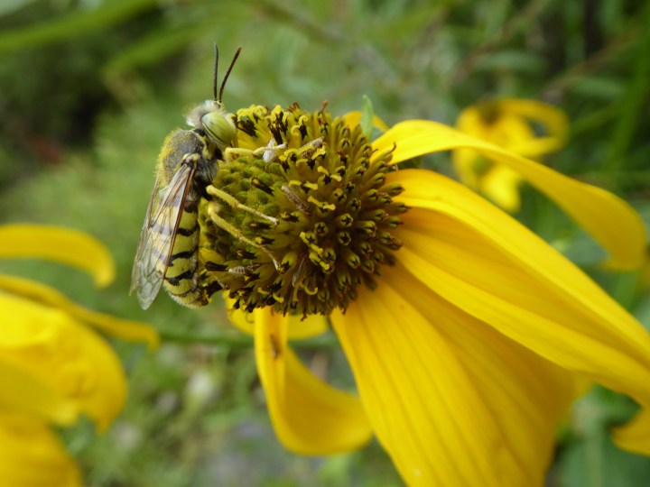 AE24D7BF-B9A6-484E-8783-52FF127A7A79