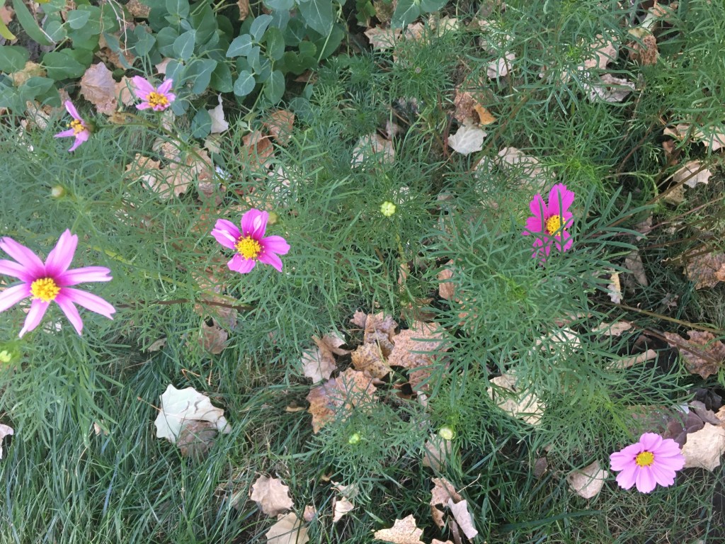 This image has an empty alt attribute; its file name is 402e8951-cfc7-418b-8abe-271980720f3a_1_201_a.jpeg